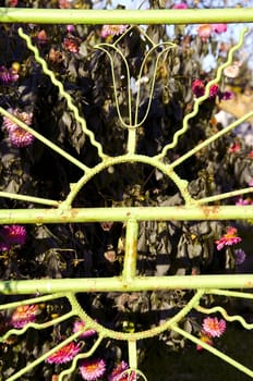 Decorative rusty metal fence fragment in garden and flowers.