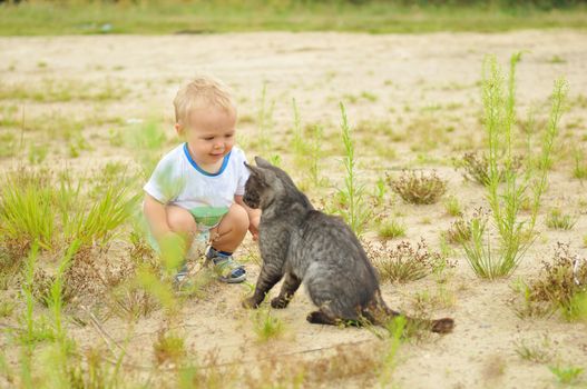 Cute little boy playing with a cat outdoors in the grass