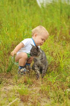 Cute little boy playing with a cat outdoors in the grass