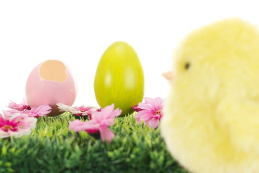 Chick on grass with flowers and easter eggs