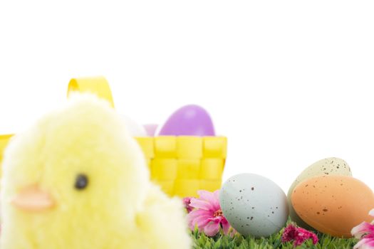 Chick on grass with flowers and easter eggs