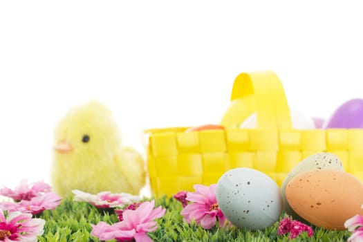 Chick on grass with flowers and easter eggs