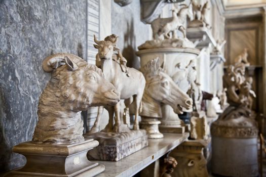 Vatican Museums, Rome, Italy: collection of statues