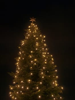 Beautiful Illuminated Christmas Tree Outdoors with a Shiny Star    