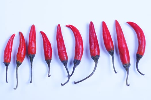 Row of red hot Thai chili peppers;