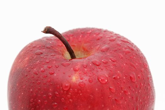A close up of a red apple isolated on white, water drops on apple