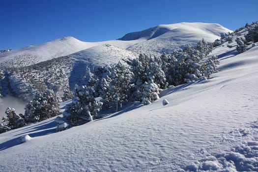 Winter mountain landscape with shining snow