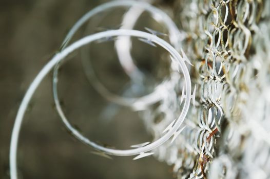 Razor wire and a rusty section of a chain link fence.