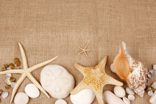 Sea shells and star fish with stones on burlap fabric postcard