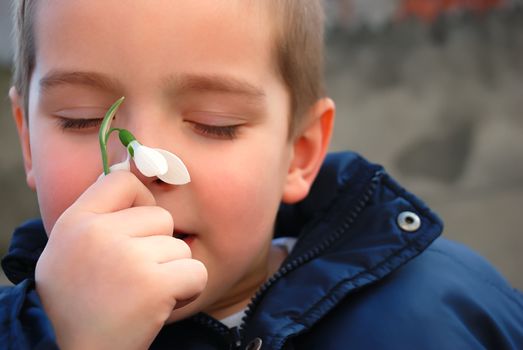 a boy is enjoying the smell of a snowdrop