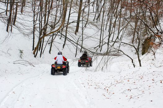 All Terrain Vehicles riding on a snowy forest path 