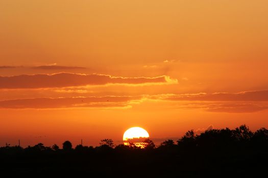 The sun rising over the horizon, trees in silhouette against it and the clouds painted in golden light