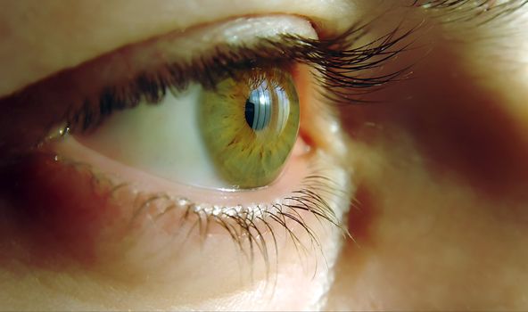 a close-up of a human eye, green color