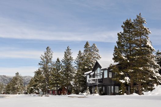 Cabin in the Snow