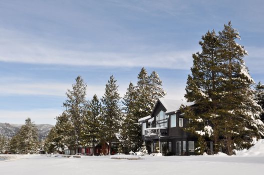 Cabin in the Snow