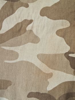 Camouflage background