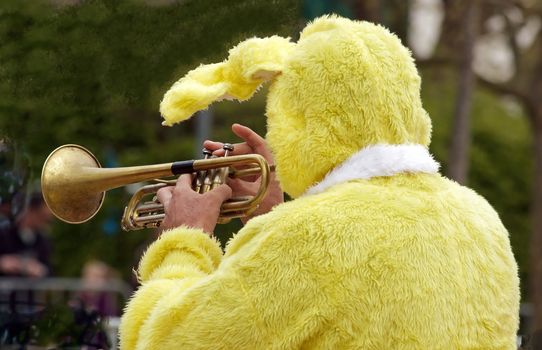 rabbit trumpeter, animation for Easter