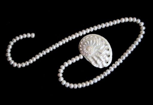 White pearls and nacreous cockleshell on the black velvet background 