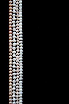 White and pink pearls on the black velvet background 