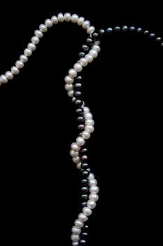 White and black pearls on a black velvet background 