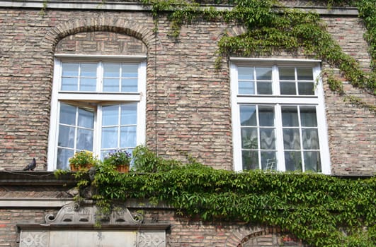 Poland. Gdansk city. Windows of old houses 
