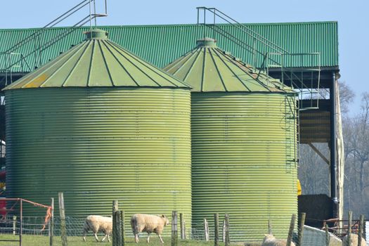 Green food storage silo