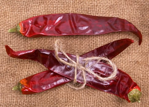 Colorful red peppers on sackcloth background 