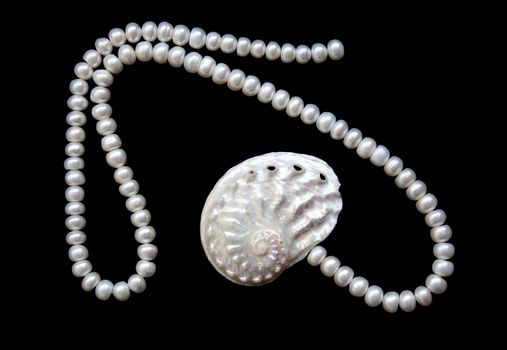 White pearls and nacreous cockleshell on the black velvet background 