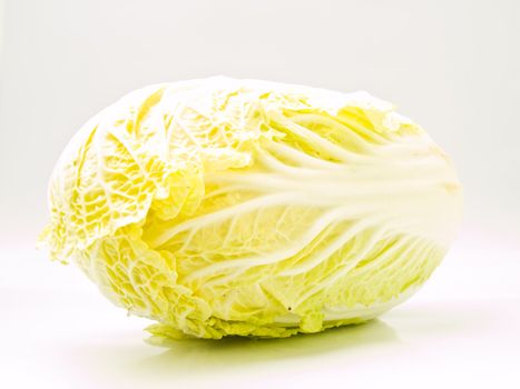 Fresh Chinese cabbage