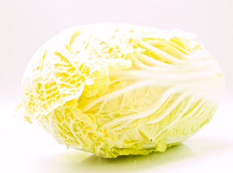 Fresh Chinese cabbage