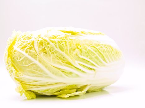 Fresh Chinese cabbage