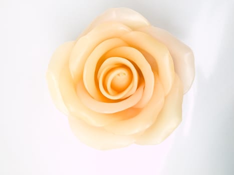 A light pink rose's candle isolated on white background