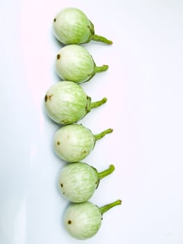 fresh green eggplants, CHIONATHUS PARKINONII , isolated on white background.