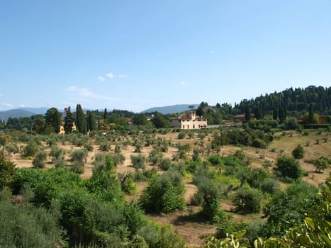 Florence - a beautiful view of the Boboli Gardens