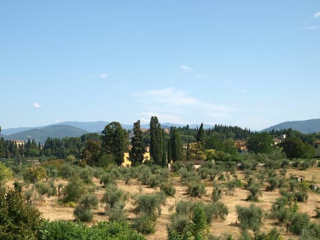 Florence - a beautiful view of the Boboli Gardens