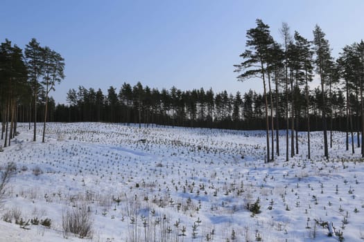 cold winter day