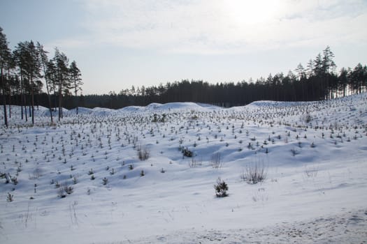 cold winter day