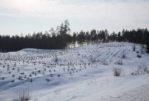 cold winter day