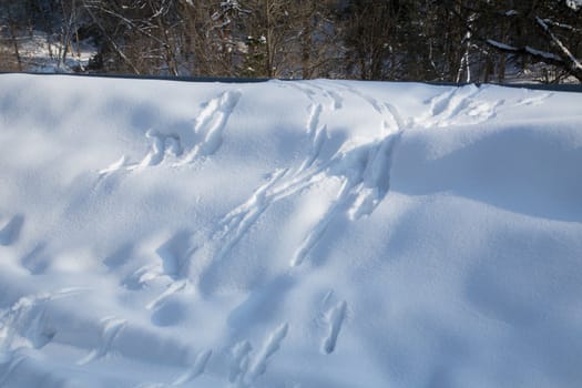 cold winter day