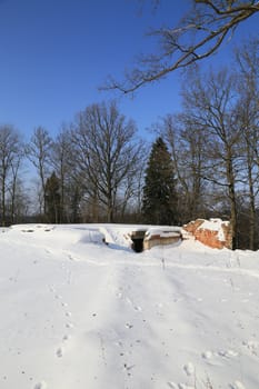 cold winter day