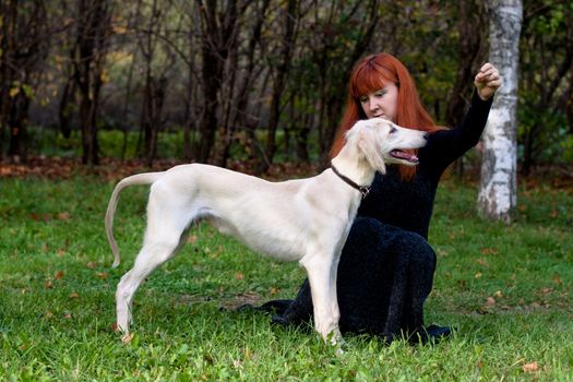 A girl in a black dress and white saliki pup in a forest 
