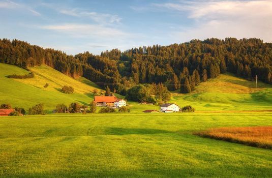 Beatuful hillside before sunset in swiss Alps, Europe.