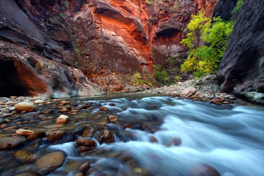 Virgin River cascades in the The Narrows of Zion Canyon - southwest Utah.