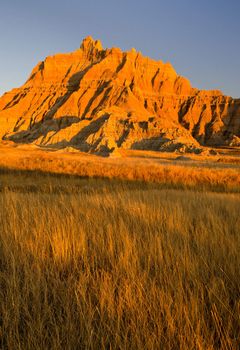 Prairie grasses and eroded formations, Badlands National Park, South Dakota, USA