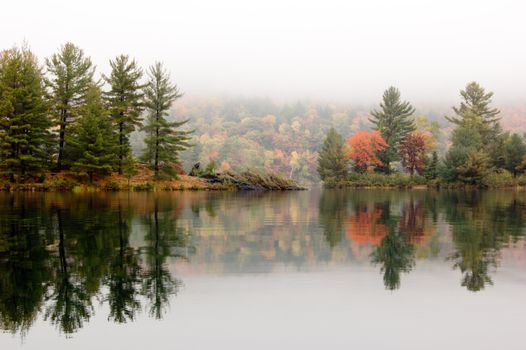 Shore of George Lake in overcast day. Killarney Prov. Park
