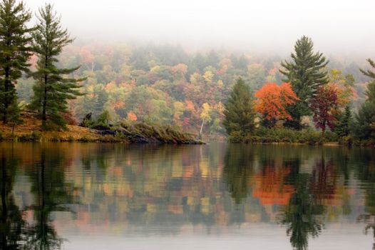 Shore of George Lake in overcast day. Killarney Prov. Park