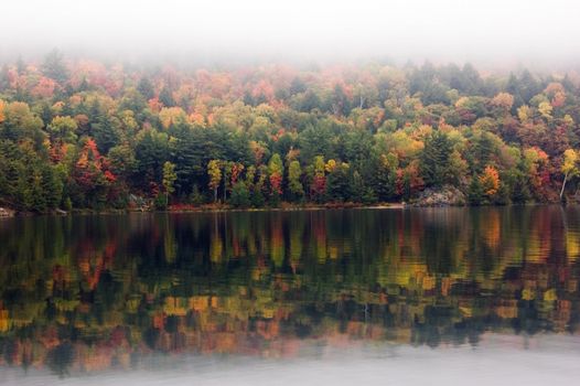 Shore of George Lake in overcast day. Killarney Prov. Park