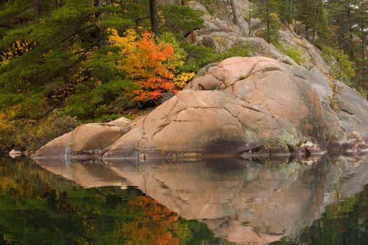 Reflection of colorful forest in lake surface in the overcast day