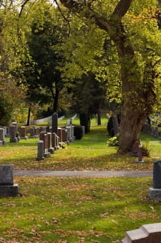 Autumn sunny day in the cemetery