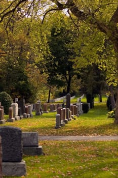 Autumn sunny day in the cemetery
